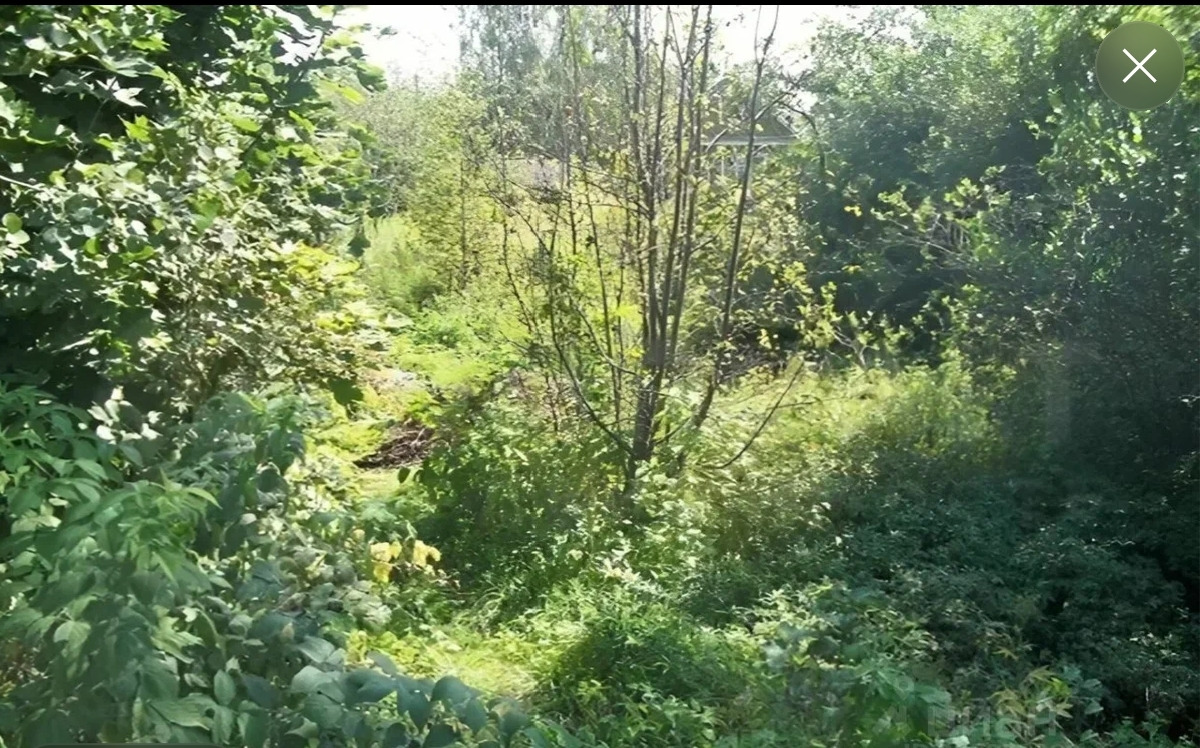 Продается земельный участок 13.5 соток, прямоугольной формы, с расположенным на нем домом, в черте поселка Дубна, Тульской области.
Поселок находится в 50 км от Тулы, окруженный лесами и озерами, в поселке есть все сетевые магазины, школа, детский сад, кафе, в шаговой доступности Магнит, КБ.
Вода и 